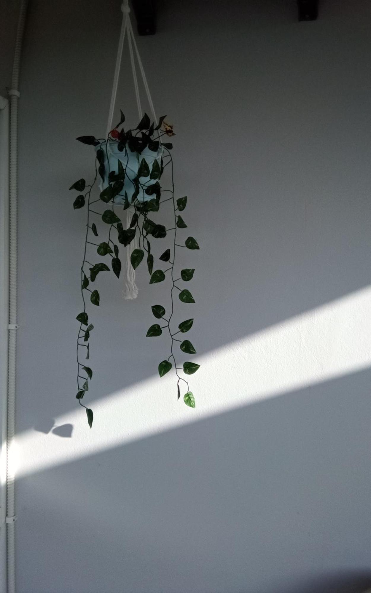 Panorama Rooms Kastro-Kyllini 외부 사진